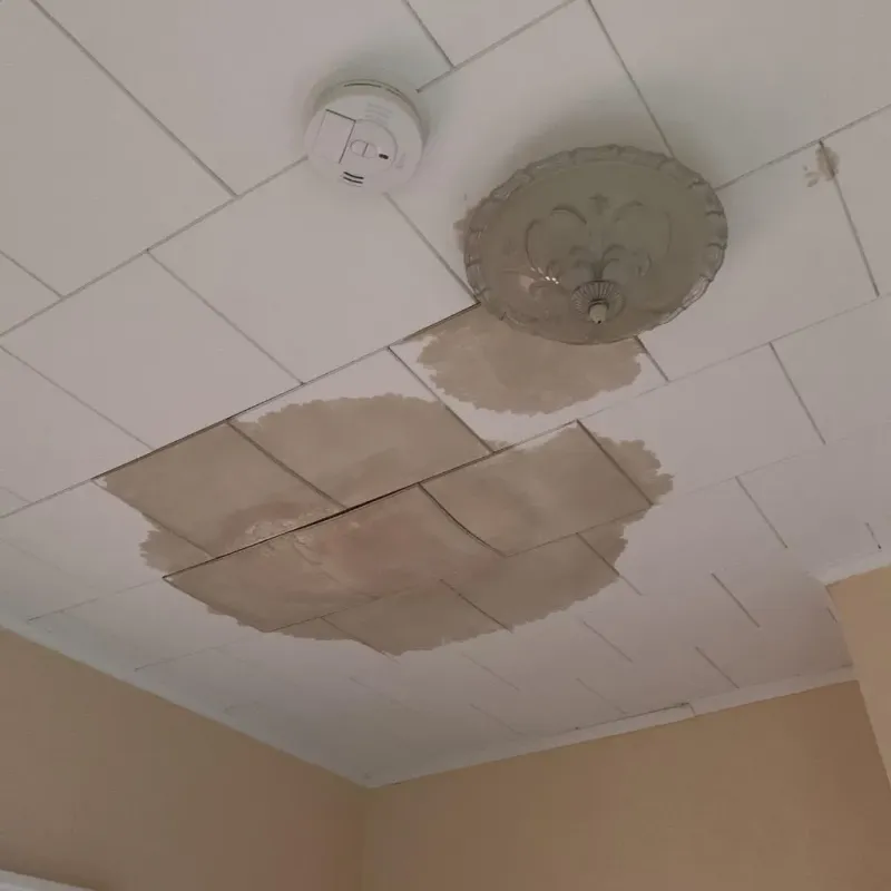 Ceiling Water Damage Repair in Greenville, PA