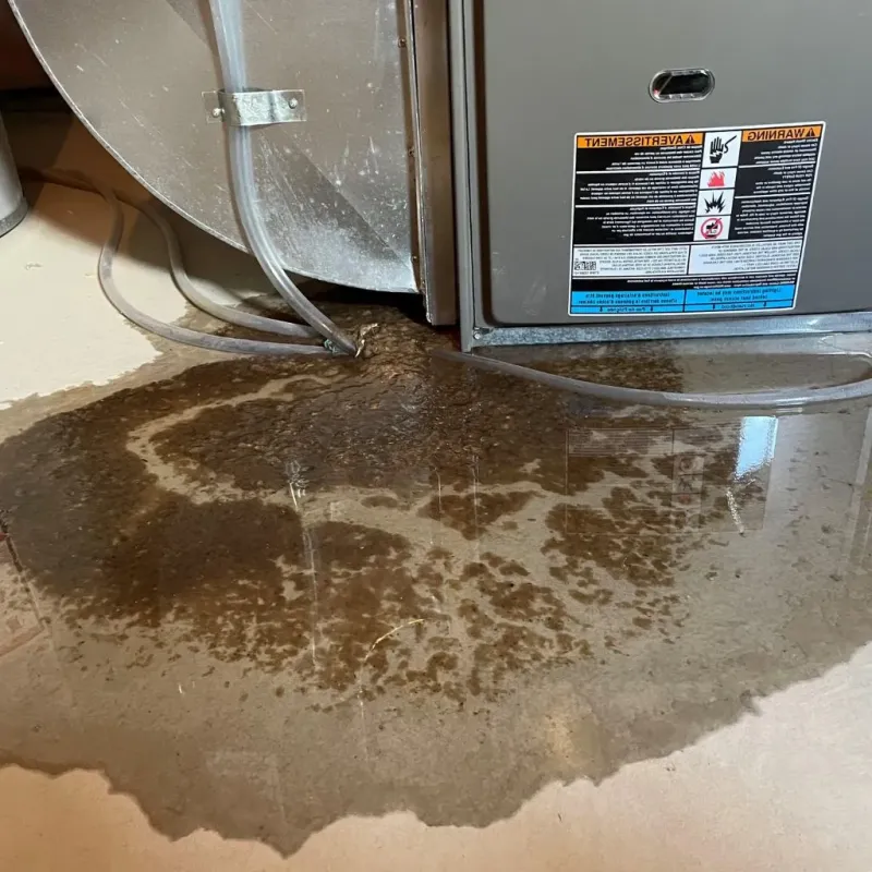 Pipe Burst and Leak Restoration in Greenville, PA