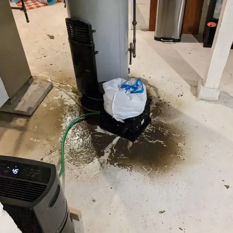 Sewage Backup Cleanup Service in Greenville, PA